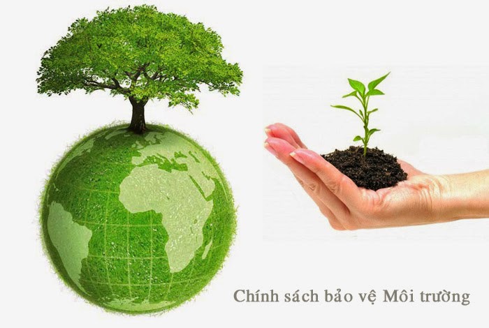 Ảnh minh họa. Nguồn: internet