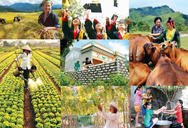 Ảnh minh họa. Nguồn: internet