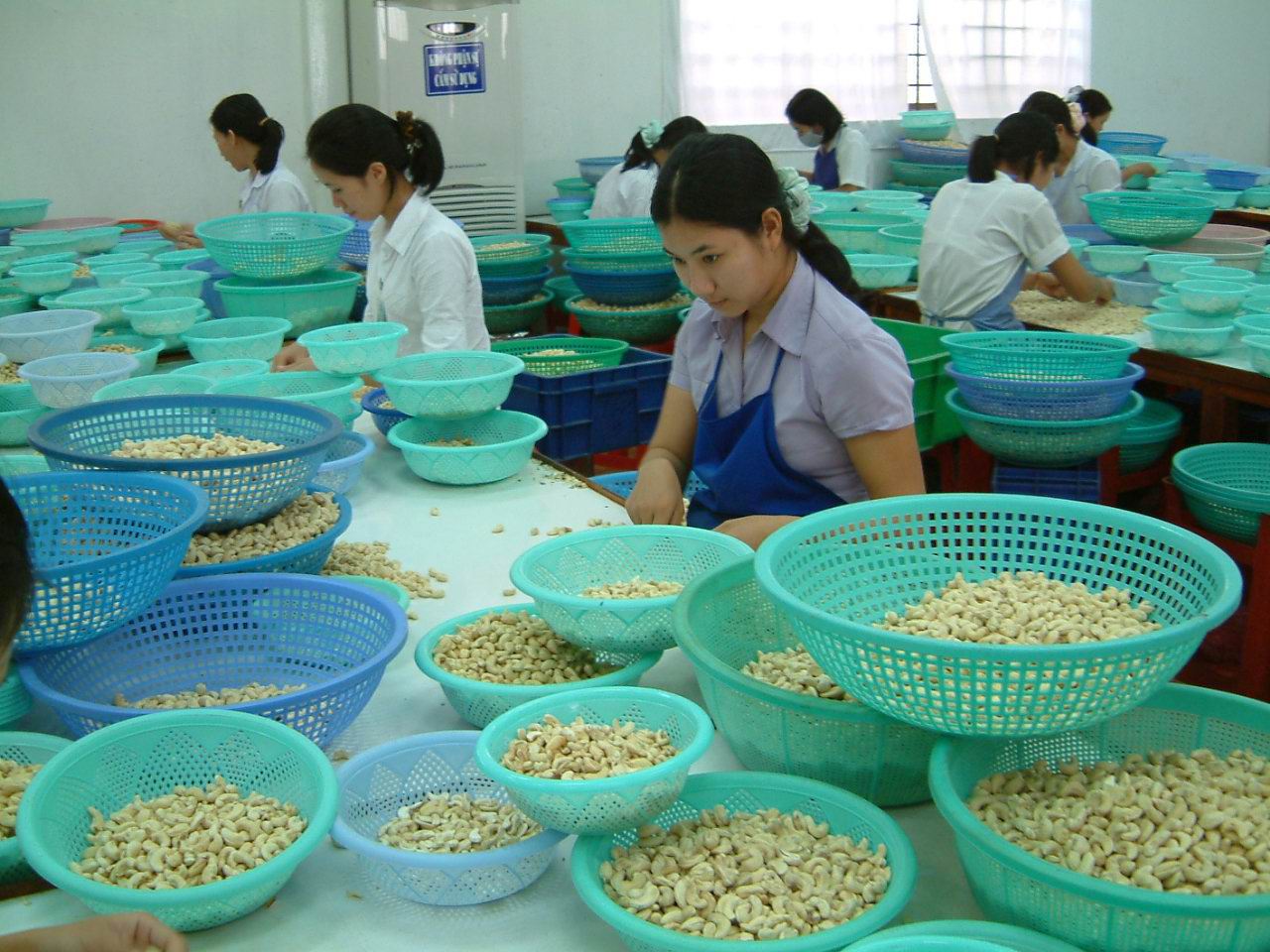 Ảnh minh họa. Nguồn: internet
