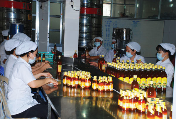 Ảnh minh họa. Nguồn: internet