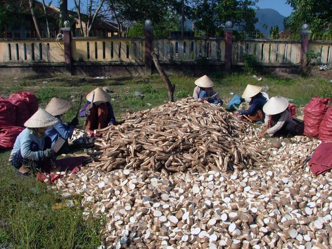 Ảnh minh họa. Nguồn: internet