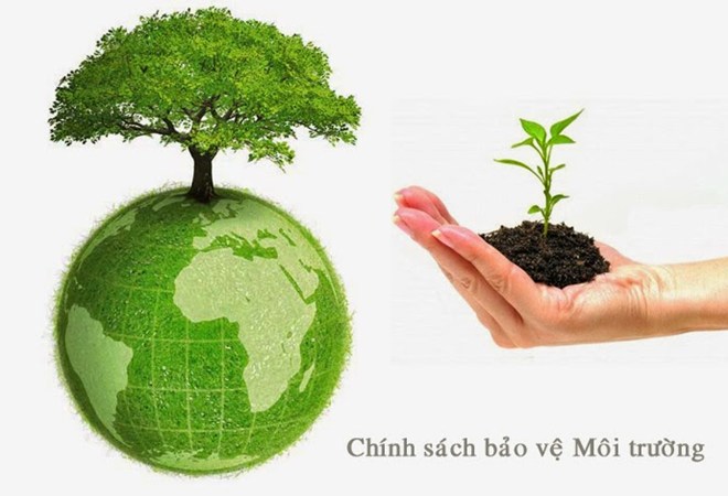 Ảnh minh họa. Nguồn: internet