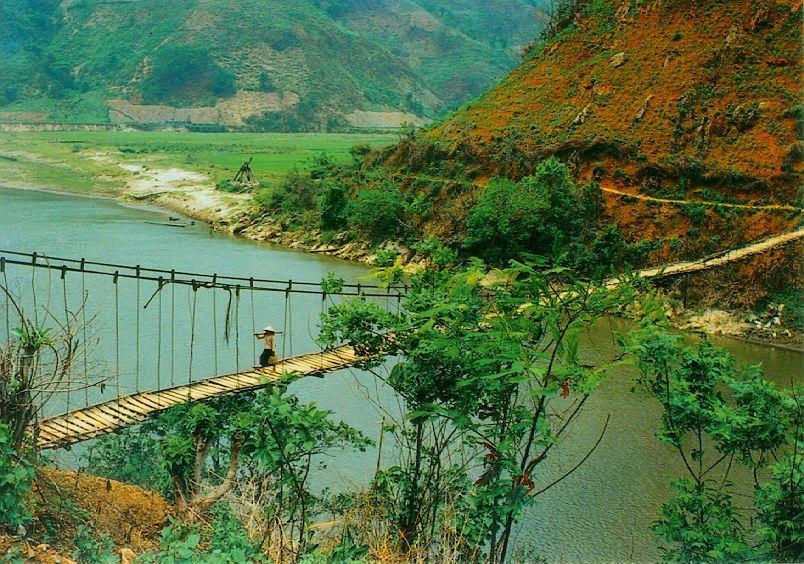 Ảnh minh họa. Nguồn: internet