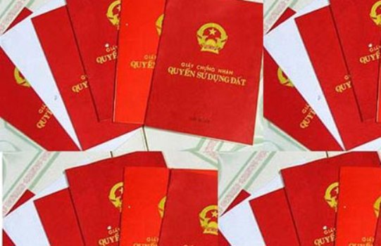 Ảnh minh họa. Nguồn: internet