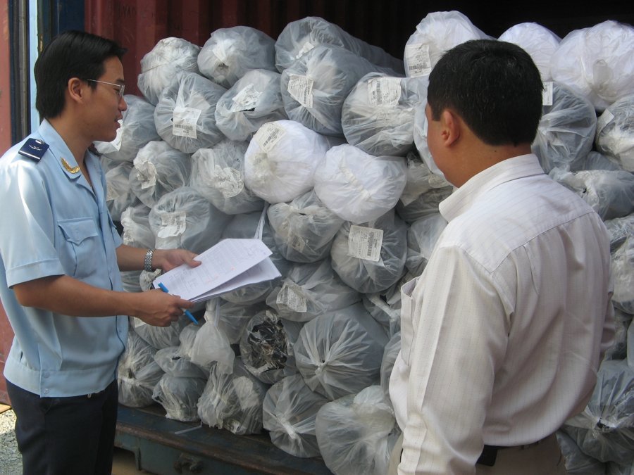 Ảnh minh họa. Nguồn: internet