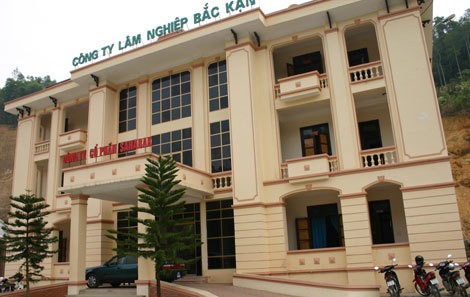 Ảnh minh họa. Nguồn: internet