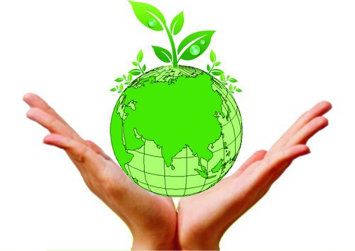 Ảnh minh họa. Nguồn: internet