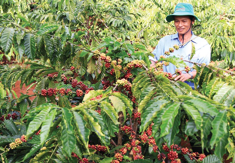 Ảnh minh họa. Nguồn: internet
