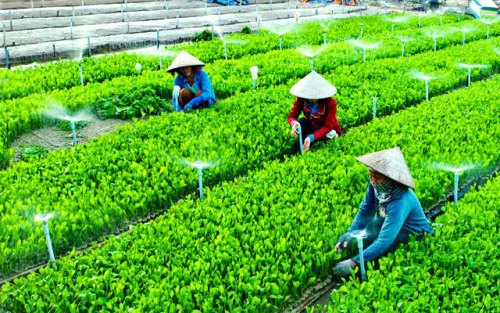 Ảnh minh họa. Nguồn: internet