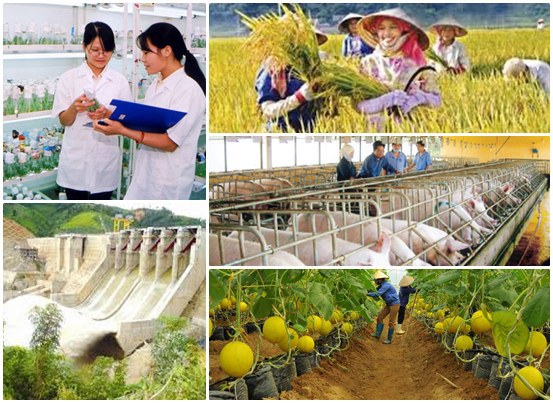 Ảnh minh họa. Nguồn: internet
