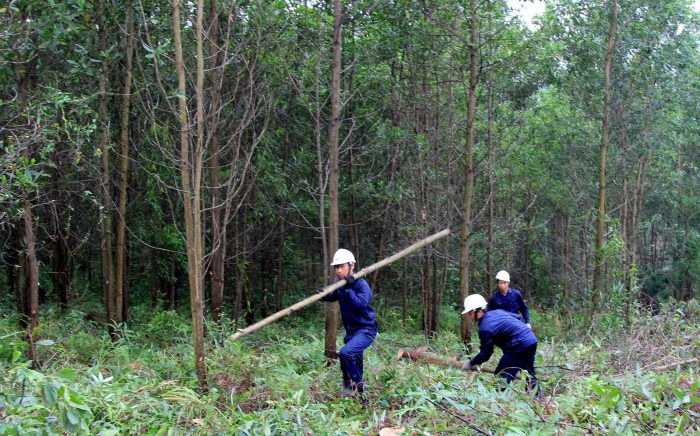 Ảnh minh họa. Nguồn: internet