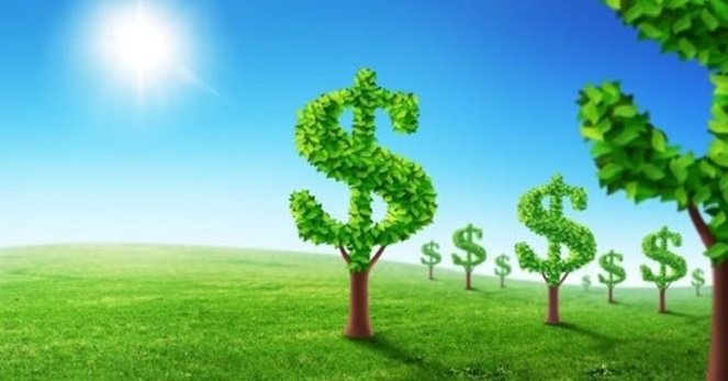 Ảnh minh họa. Nguồn: internet