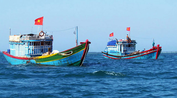 Ảnh minh họa. Nguồn: internet