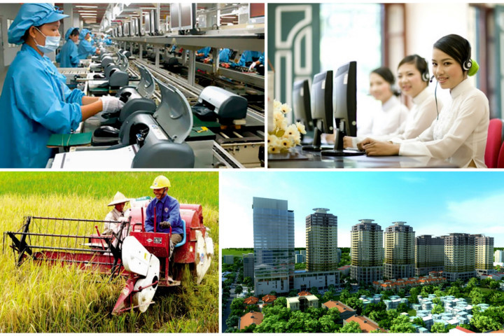 Ảnh minh họa. Nguồn: internet