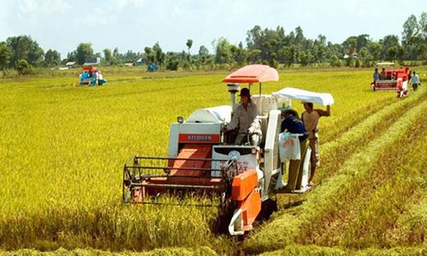 Ảnh minh họa. Nguồn: internet