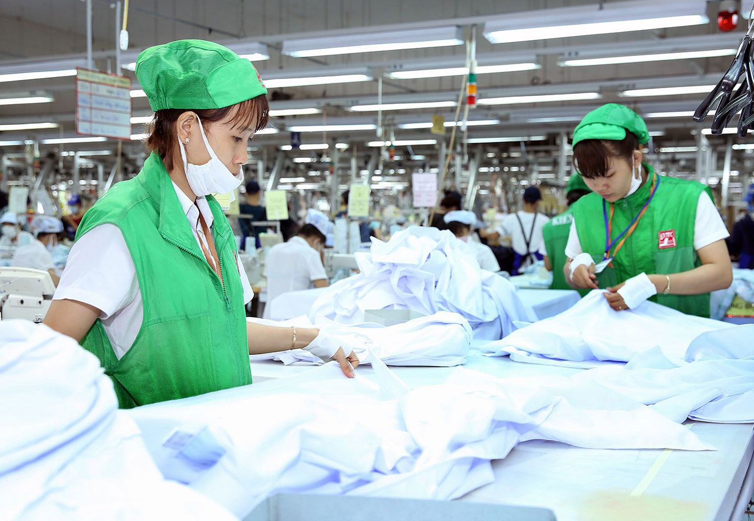 Ảnh minh họa. Nguồn: internet