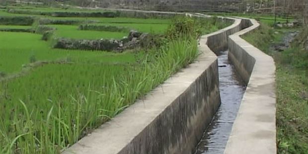 Ảnh minh họa. Nguồn: internet