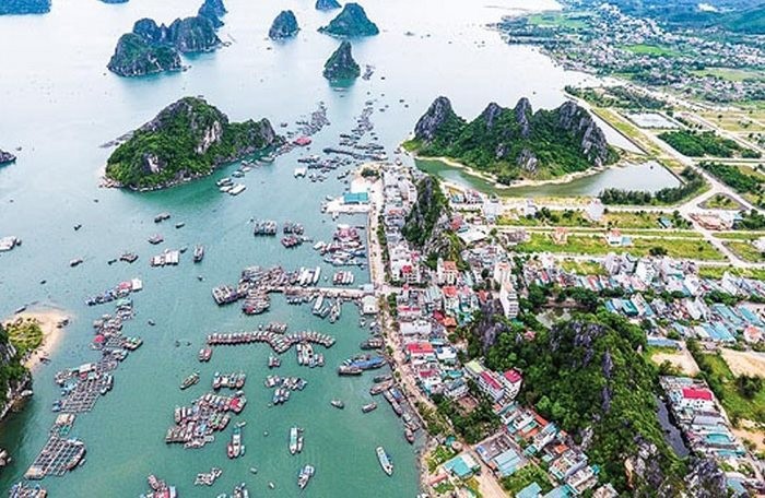 Ảnh minh họa. Nguồn: internet