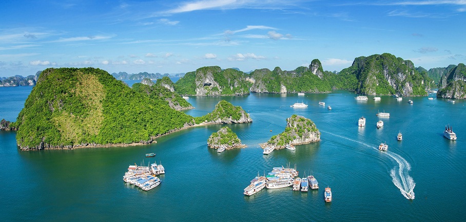 Ảnh minh họa. Nguồn: internet