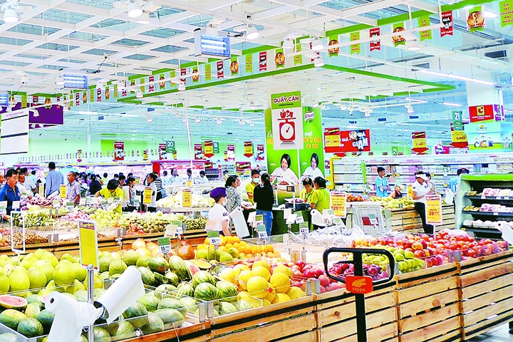 Các nhà đầu tư nội và ngoại hiện đang đẩy mạnh phát triển chiến lược riêng để tìm chỗ đứng trên thị trường.