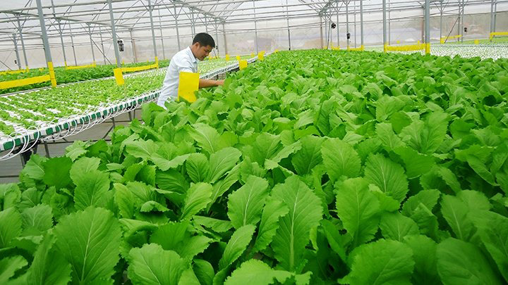 Cơ sở sản xuất kinh doanh sản phẩm hữu cơ hoặc vật tư đầu vào phục vụ cho sản xuất hữu cơ được ưu tiên hưởng các chính sách khuyến khích đầu tư đối với nông nghiệp, nông thôn.