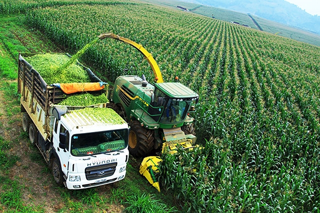 Ảnh minh họa. Nguồn: interrnet