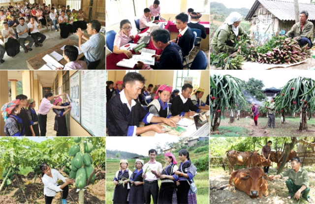 Ảnh minh họa. Nguồn: internet
