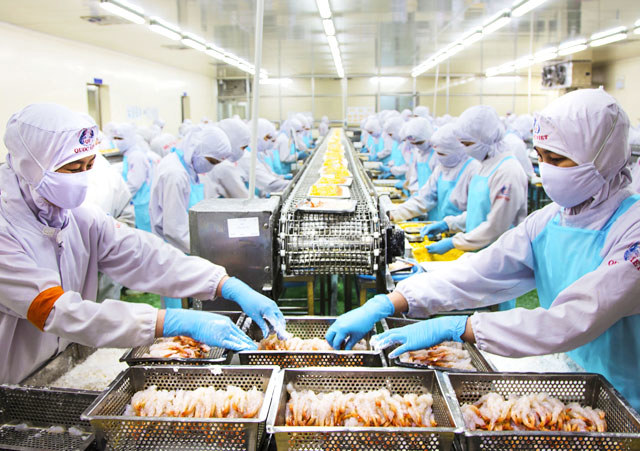Trong lĩnh vực xuất khẩu, việc đáp ứng yêu cầu của các tiêu chuẩn hài hòa với tiêu chuẩn quốc tế đã giúp các DN của Việt Nam tiếp cận các thị trường khó tính một cách thuận lợi,.