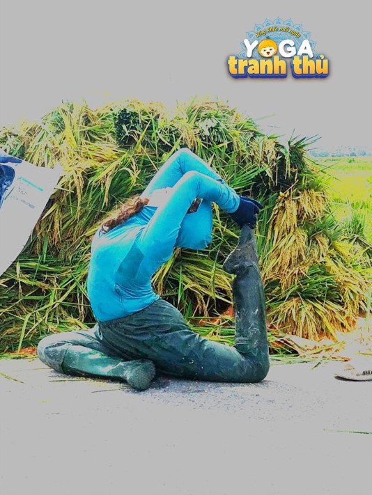 Gặt lúa mỏi lưng, tranh thủ tập ngày tư thế yoga này.