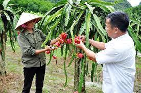 Đợt tổng điều tra được tiến hành trên phạm vi cả nước đến ngày 30/7.