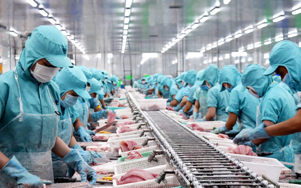 Xuất khẩu thủy sản của cả nước tiếp đà hồi phục với mức tăng lạc quan hơn.