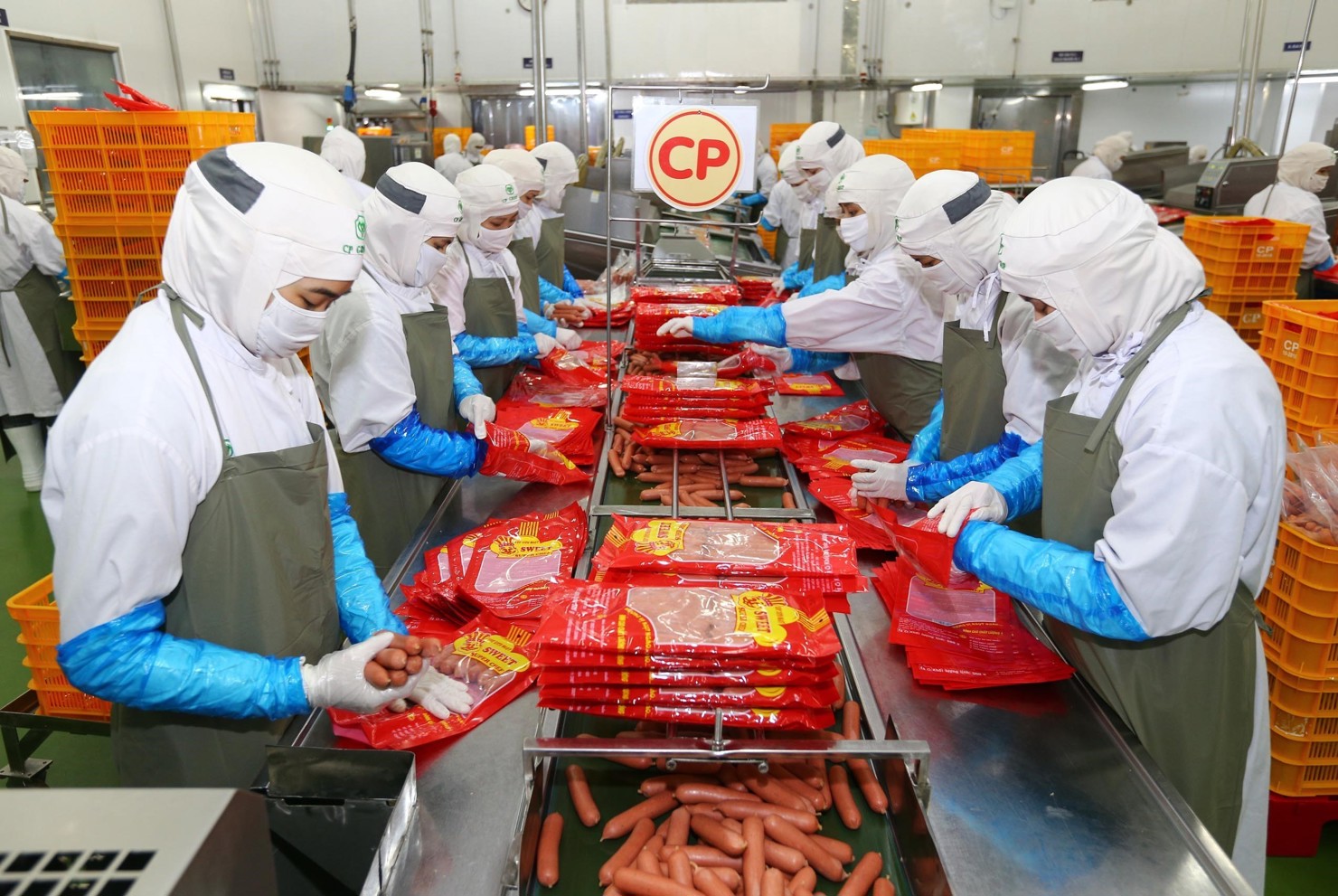 Với việc thực thi EVFTA chắc chắn EU sẽ nhanh chóng vươn lên thứ hạng cao hơn trong danh sách các bạn hàng của Việt Nam. Ảnh: TTXVN