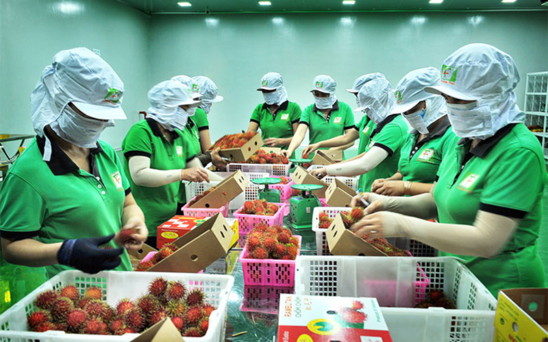 Việt Nam sẽ tiếp tục chủ động hợp tác với các đối tác Hoa Kỳ để giải quyết một cách toàn diện các quan tâm của Hoa Kỳ và Việt Nam.