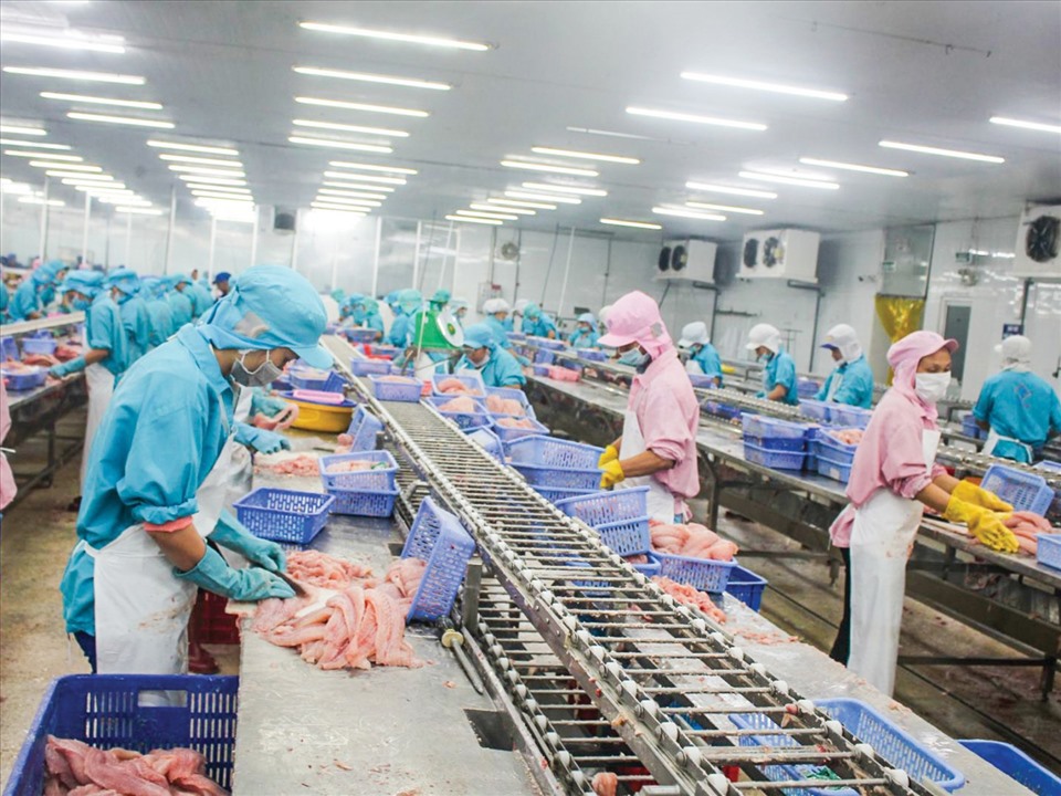 Thủy sản là mặt hàng xuất khẩu lớn thứ 5 của nước ta về giá trị, chiếm khoảng 4% kim ngạch xuất khẩu của cả nước.