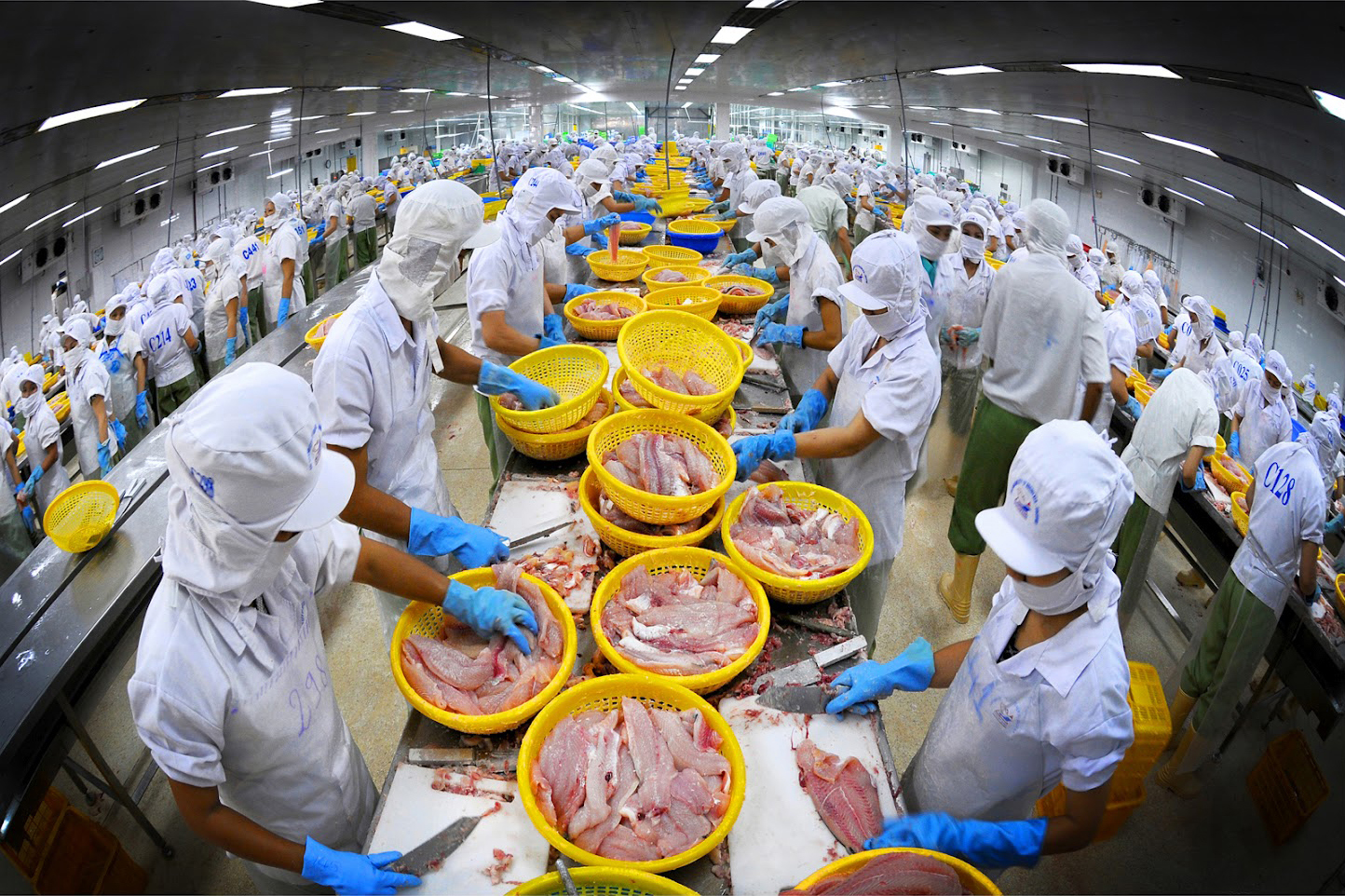 Tính chung 8 tháng năm 2019, sản lượng thủy sản ước tính đạt 5.228,6 nghìn tấn.