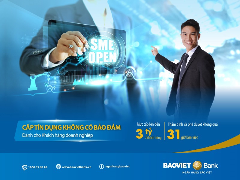 BAOVIET Bank ra mắt sản phẩm SME OPEN dành cho khách hàng doanh nghiệp - Ảnh 1