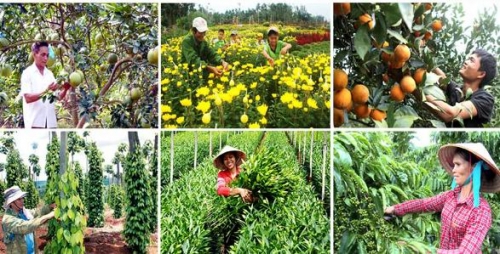 Ảnh minh họa. Nguồn: internet