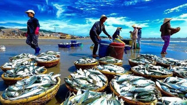 Ảnh minh họa. Nguồn: internet