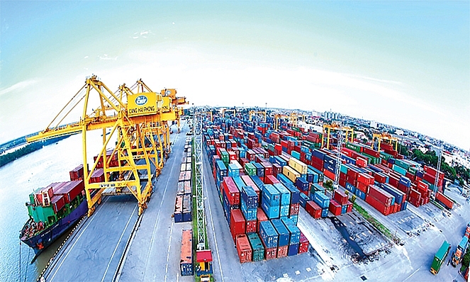 Năm 2019, các doanh nghiệp trong nước đã có mức tăng trưởng về xuất khẩu, thậm chí cao hơn cả các doanh nghiệp FDI.