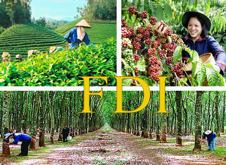 Ảnh minh họa. Nguồn: internet