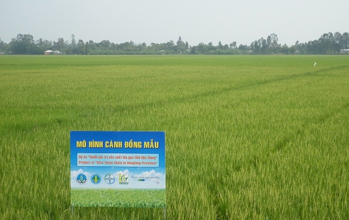 Mô hình “Từ ruộng vườn đến trường quay” sẽ giúp chuyển giao các kiến thức kỹ thuật canh tác nông nghiệp tới người nông dân.