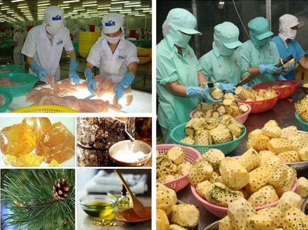 Ảnh minh họa. Nguồn: dddn.com.vn