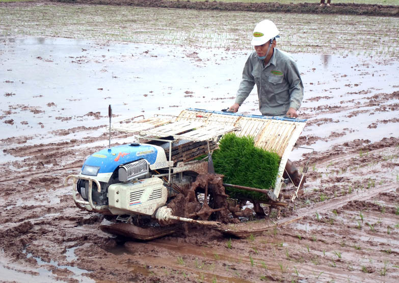 Thực hiện cơ giới hóa trong sản xuất nông nghiệp, nông dân tỉnh Hưng Yên đã từng bước khai thác các tiềm năng, lợi thế của máy móc, giúp nâng cao giá trị sản xuất nông nghiệp theo hướng bền vững. Nguồn: internet