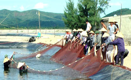 Ảnh minh họa. Nguồn: internet