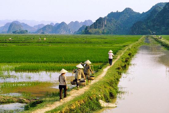 Ảnh minh họa. Nguồn: internet