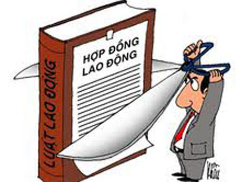 Ảnh minh họa. Nguồn: internet