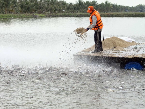 Ảnh minh họa. Nguồn: TTXVN