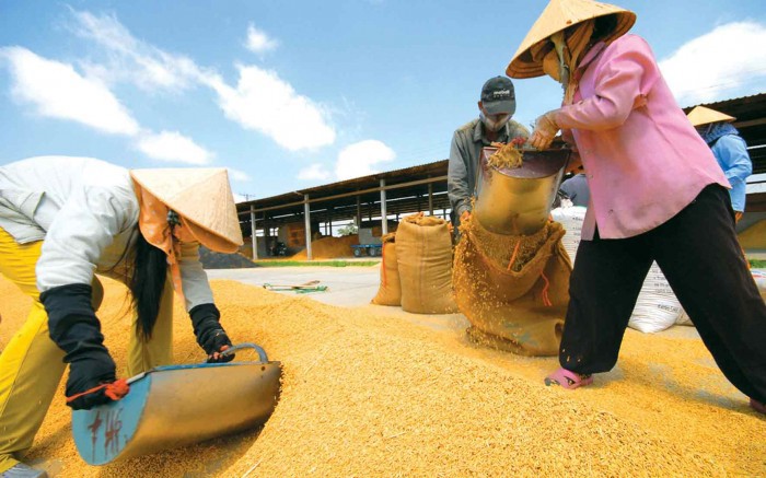  Phó Thủ tướng cũng yêu cầu sớm trình Thủ tướng Chính phủ phương án cổ phần hóa Công ty mẹ - Tổng công ty Lương thực miền Nam. Nguồn: internet