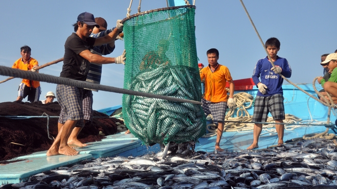 Đối tượng lao động trên tàu/thuyền không lắp máy thiệt hại do nằm bờ thì định mức bồi thường là 3,69 triệu đồng/người/tháng. Nguồn: baogiaothong.vn
