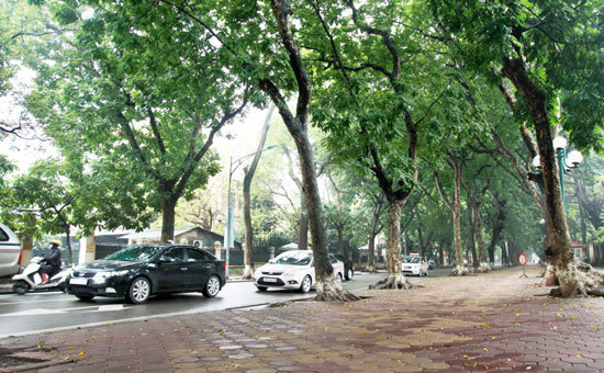 TP. Hà Nội quyết định áp dụng hình thức chỉ định thầu tư vấn thực hiện quy hoạch hệ thống gara ngầm trên địa bàn 4 quận nội đô lịch sử theo thẩm quyền. Nguồn: internet